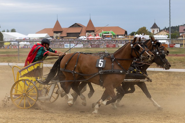 速度滑冰作 速度滑冰作