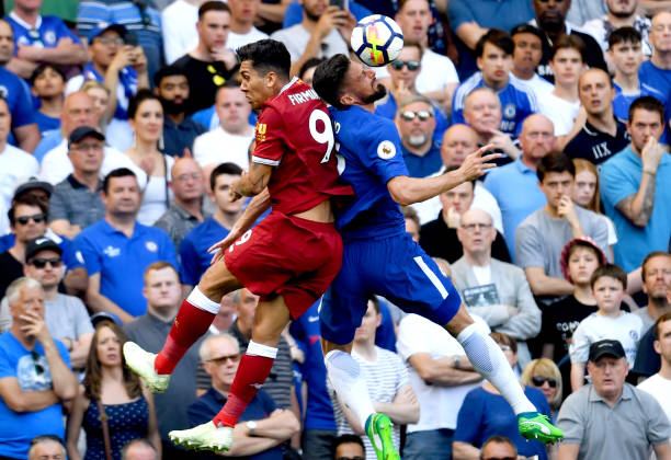 系列的体型 系列的体型