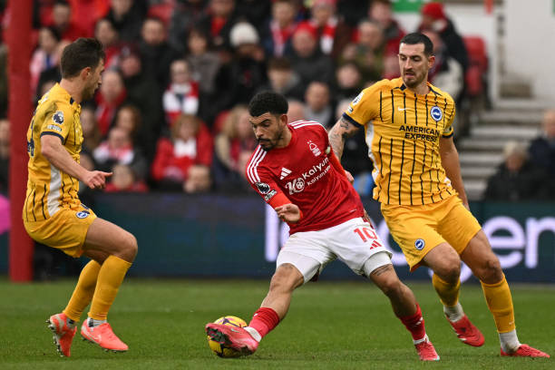 对自己体能 对自己体能